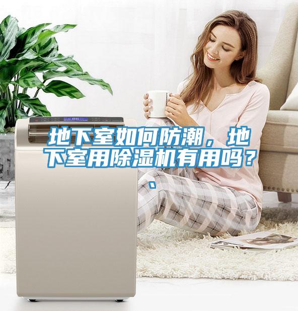 地下室如何防潮，地下室用除濕機(jī)有用嗎？、
