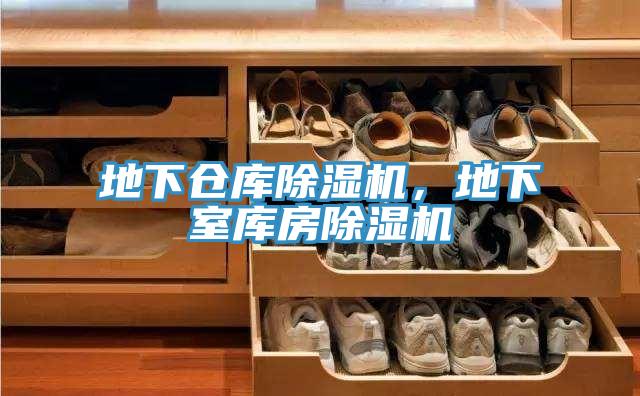 地下倉(cāng)庫除濕機(jī)，地下室?guī)旆砍凉駲C(jī)