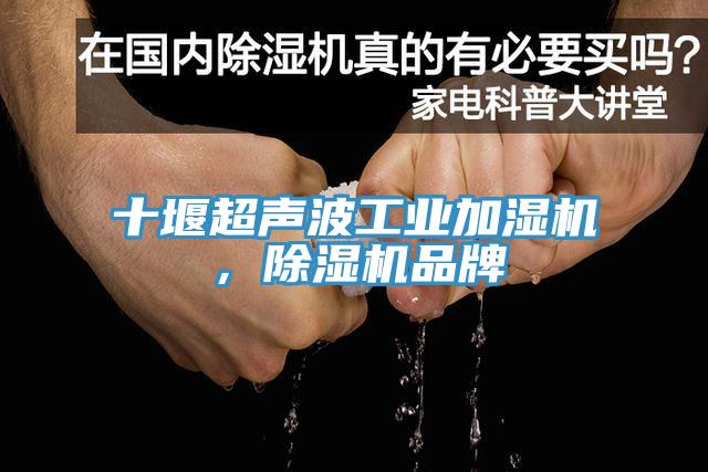 十堰超聲波工業(yè)加濕機(jī)，除濕機(jī)品牌