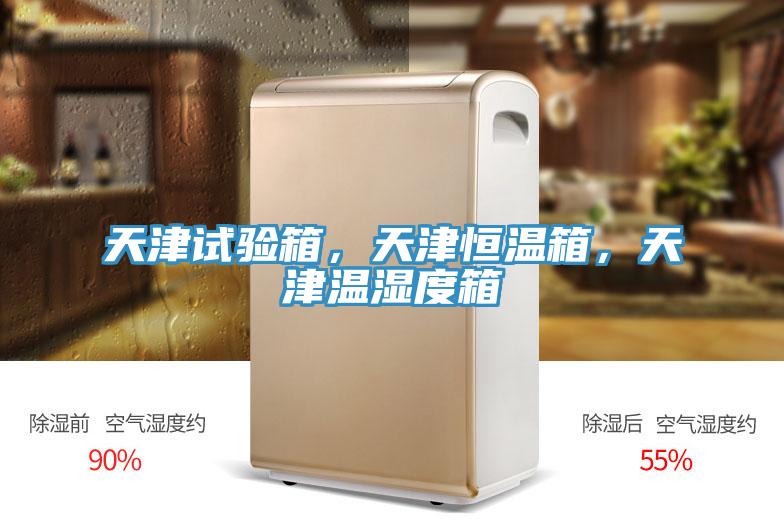 天津試驗箱，天津恒溫箱，天津溫濕度箱