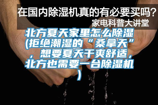 北方夏天家里怎么除濕(拒絕潮濕的“桑拿天”，想要夏天干爽舒適，北方也需要一臺除濕機(jī))