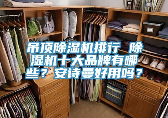 吊頂除濕機排行 除濕機十大品牌有哪些？安詩曼好用嗎？