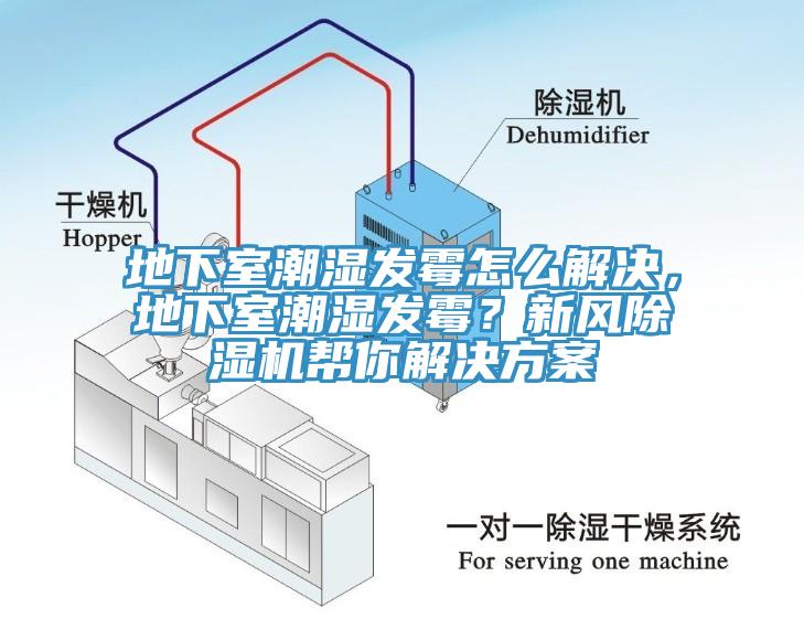 地下室潮濕發(fā)霉怎么解決，地下室潮濕發(fā)霉？新風(fēng)除濕機(jī)幫你解決方案