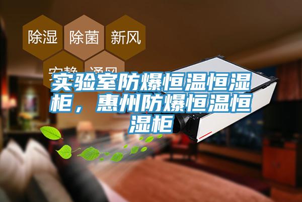 實(shí)驗(yàn)室防爆恒溫恒濕柜，惠州防爆恒溫恒濕柜