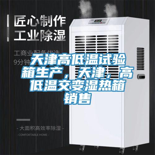 天津高低溫試驗箱生產(chǎn)，天津，高低溫交變濕熱箱銷售