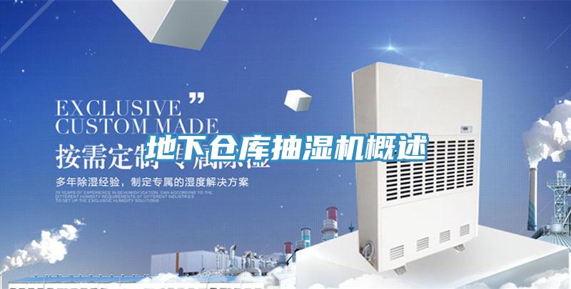 地下倉(cāng)庫抽濕機(jī)概述