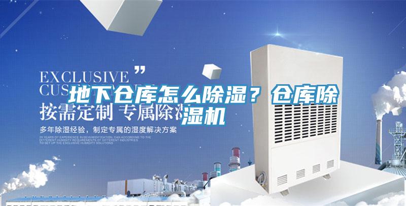 地下倉(cāng)庫怎么除濕？倉(cāng)庫除濕機(jī)