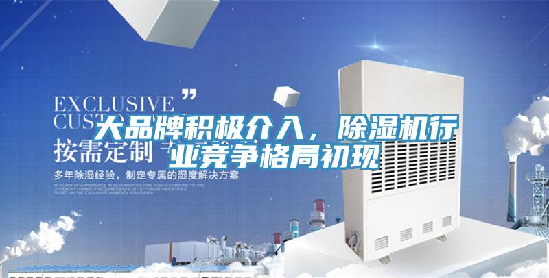 大品牌積極介入，除濕機行業(yè)競爭格局初現