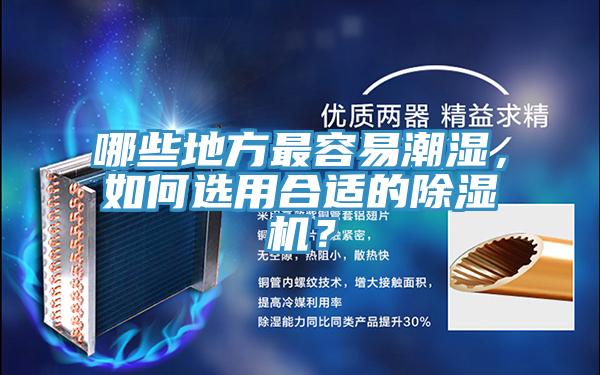 哪些地方最容易潮濕，如何選用合適的除濕機(jī)？