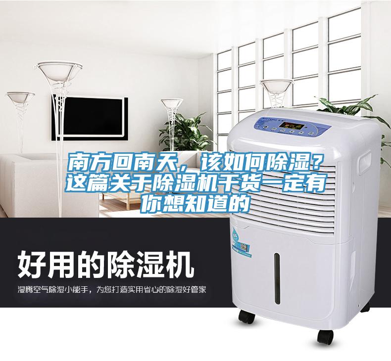 南方回南天，該如何除濕？這篇關(guān)于除濕機干貨一定有你想知道的