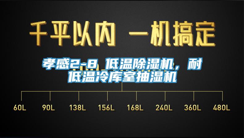 孝感2-8℃低溫除濕機，耐低溫冷庫室抽濕機