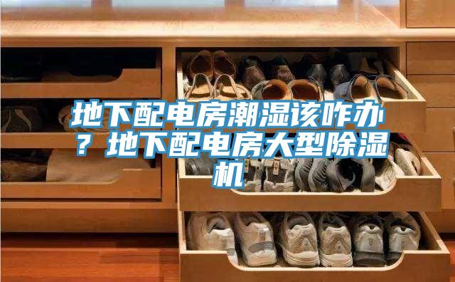 地下配電房潮濕該咋辦？地下配電房大型除濕機(jī)
