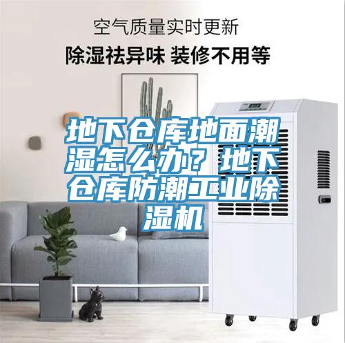 地下倉庫地面潮濕怎么辦？地下倉庫防潮工業(yè)除濕機(jī)