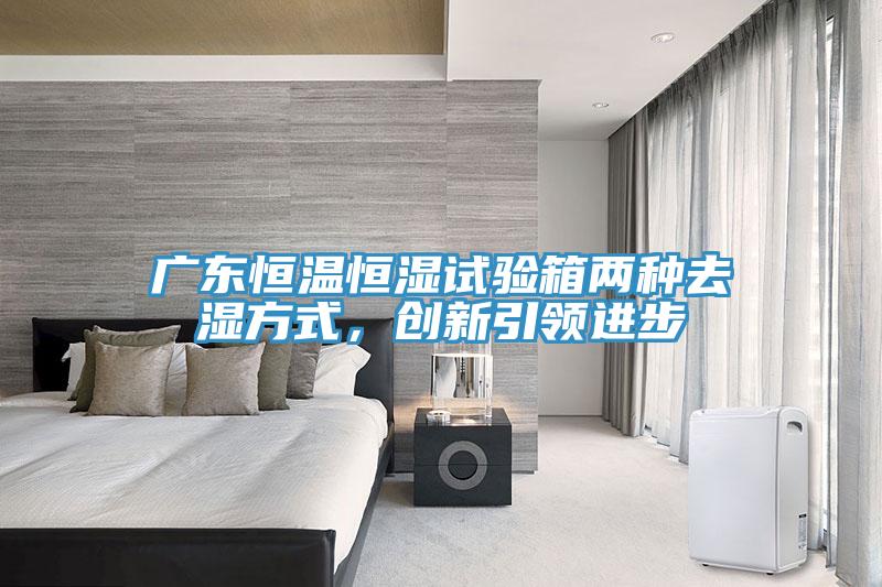 廣東恒溫恒濕試驗(yàn)箱兩種去濕方式，創(chuàng)新引領(lǐng)進(jìn)步