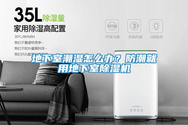 地下室潮濕怎么辦？防潮就用地下室除濕機(jī)