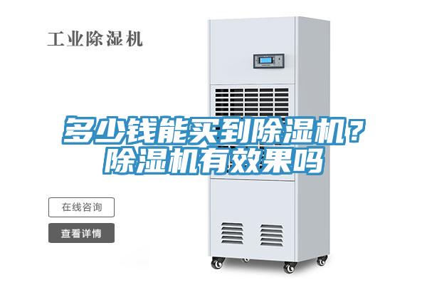 多少錢能買到除濕機？除濕機有效果嗎