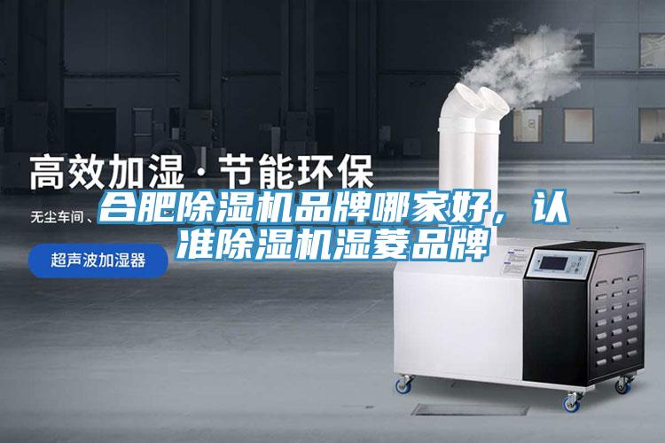 合肥除濕機品牌哪家好，認準除濕機濕菱品牌