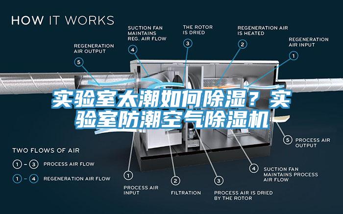實(shí)驗(yàn)室太潮如何除濕？實(shí)驗(yàn)室防潮空氣除濕機(jī)