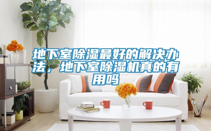 地下室除濕最好的解決辦法，地下室除濕機(jī)真的有用嗎
