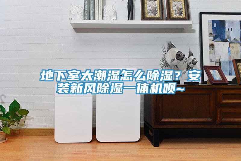 地下室太潮濕怎么除濕？安裝新風(fēng)除濕一體機(jī)唄~
