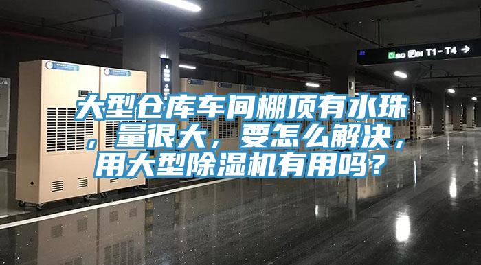 大型倉庫車間棚頂有水珠，量很大，要怎么解決，用大型除濕機有用嗎？