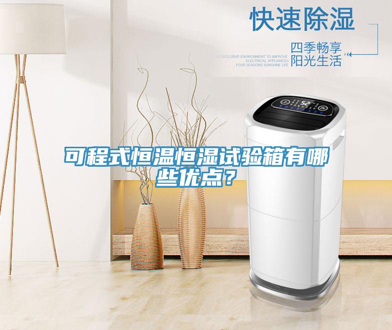 可程式恒溫恒濕試驗箱有哪些優(yōu)點？