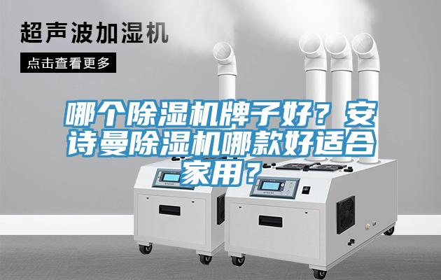 哪個除濕機牌子好？安詩曼除濕機哪款好適合家用？