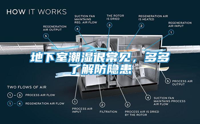 地下室潮濕很常見，多多了解防隱患
