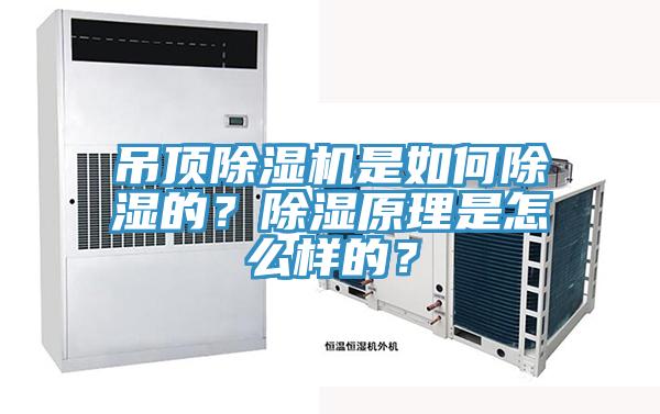 吊頂除濕機是如何除濕的？除濕原理是怎么樣的？