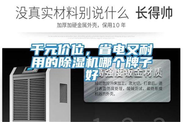 千元價位，省電又耐用的除濕機哪個牌子好