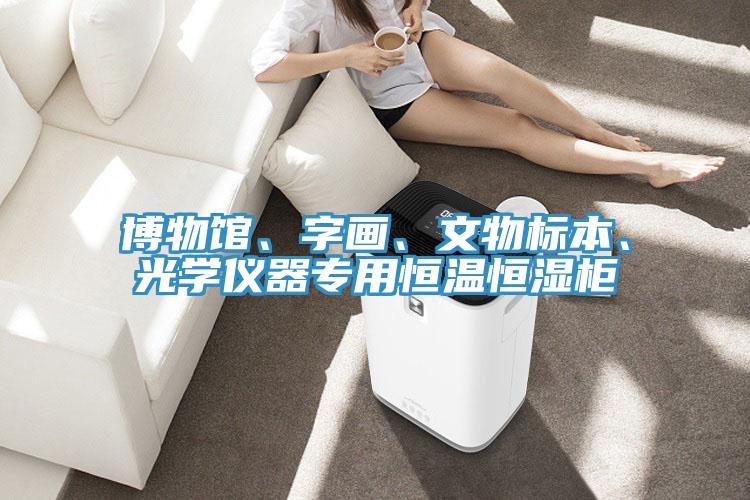 博物館、字畫、文物標(biāo)本、光學(xué)儀器專用恒溫恒濕柜