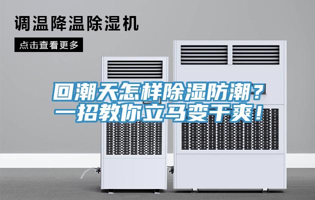 回潮天怎樣除濕防潮？一招教你立馬變干爽！