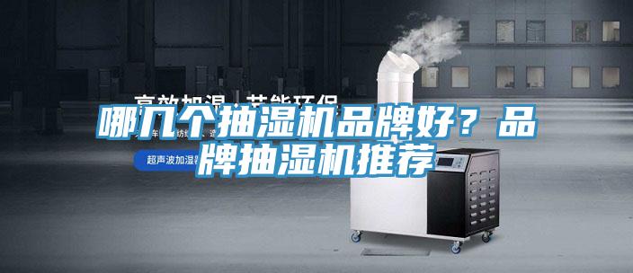 哪幾個抽濕機品牌好？品牌抽濕機推薦