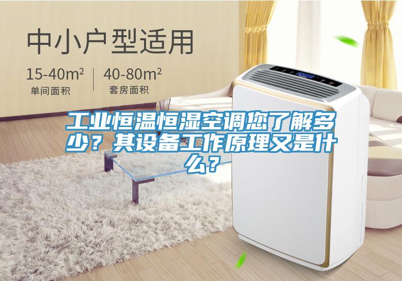 工業(yè)恒溫恒濕空調(diào)您了解多少？其設(shè)備工作原理又是什么？