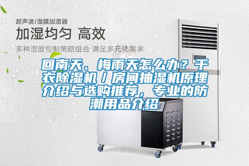 回南天、梅雨天怎么辦？干衣除濕機(jī)／房間抽濕機(jī)原理介紹與選購?fù)扑]，專業(yè)的防潮用品介紹