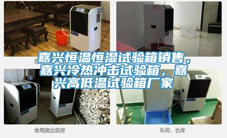 嘉興恒溫恒濕試驗(yàn)箱銷(xiāo)售，嘉興冷熱沖擊試驗(yàn)箱，嘉興高低溫試驗(yàn)箱廠家