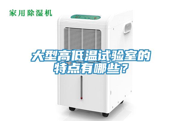 大型高低溫試驗(yàn)室的特點(diǎn)有哪些？