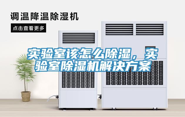 實(shí)驗(yàn)室該怎么除濕，實(shí)驗(yàn)室除濕機(jī)解決方案