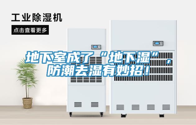 地下室成了“地下濕”，防潮去濕有妙招！