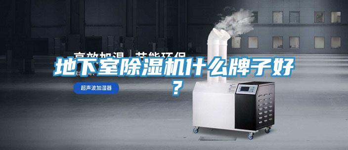 地下室除濕機(jī)什么牌子好？