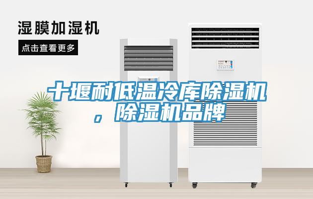 十堰耐低溫冷庫除濕機(jī)，除濕機(jī)品牌
