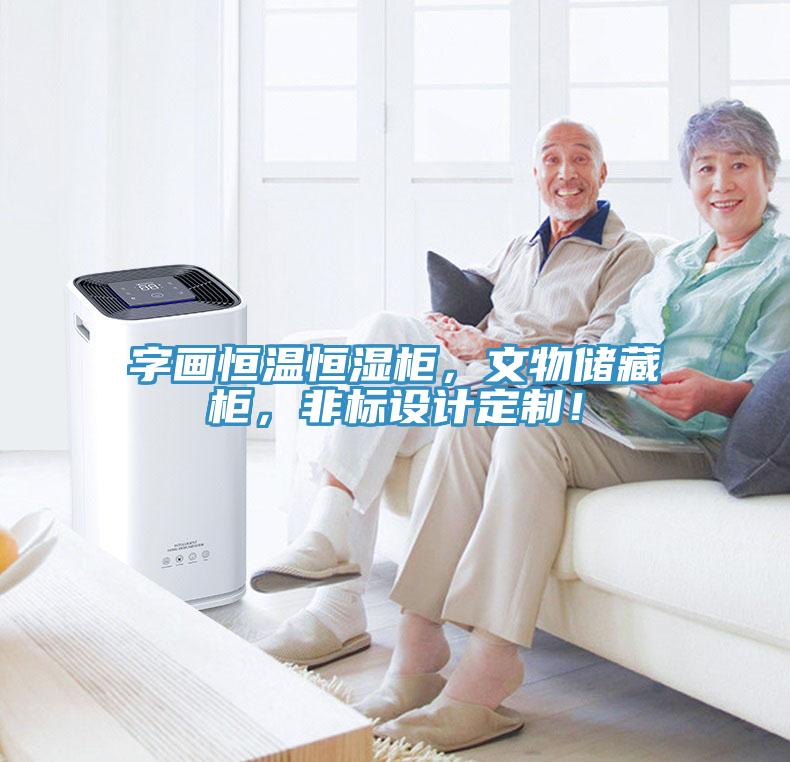 字畫恒溫恒濕柜，文物儲藏柜，非標設計定制！