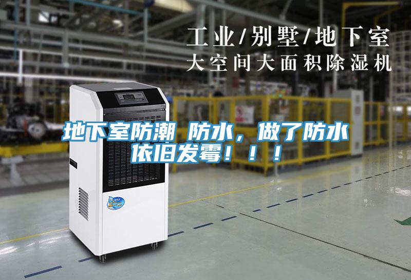 地下室防潮≠防水，做了防水依舊發(fā)霉?。?！
