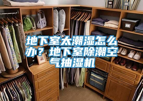 地下室太潮濕怎么辦？地下室除潮空氣抽濕機(jī)