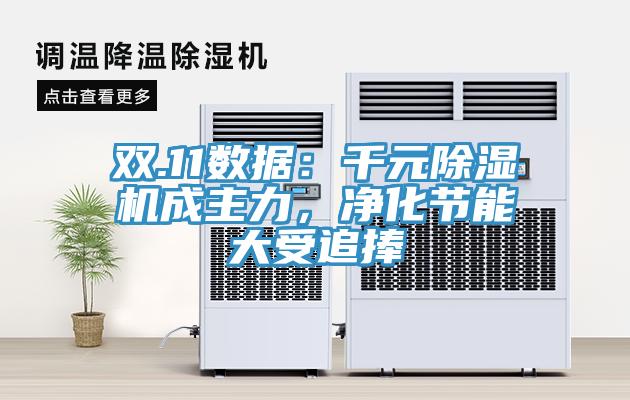 雙.11數(shù)據(jù)：千元除濕機成主力，凈化節(jié)能大受追捧