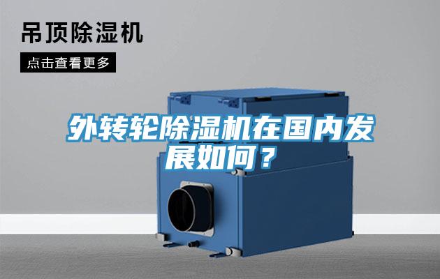 外轉(zhuǎn)輪除濕機(jī)在國(guó)內(nèi)發(fā)展如何？
