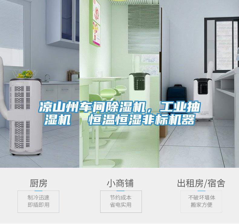 涼山州車間除濕機，工業(yè)抽濕機  恒溫恒濕非標機器