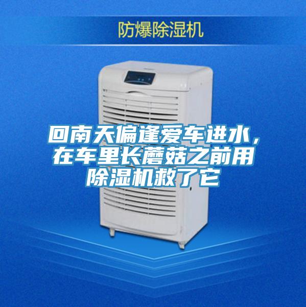 回南天偏逢愛車進(jìn)水，在車?yán)镩L蘑菇之前用除濕機(jī)救了它