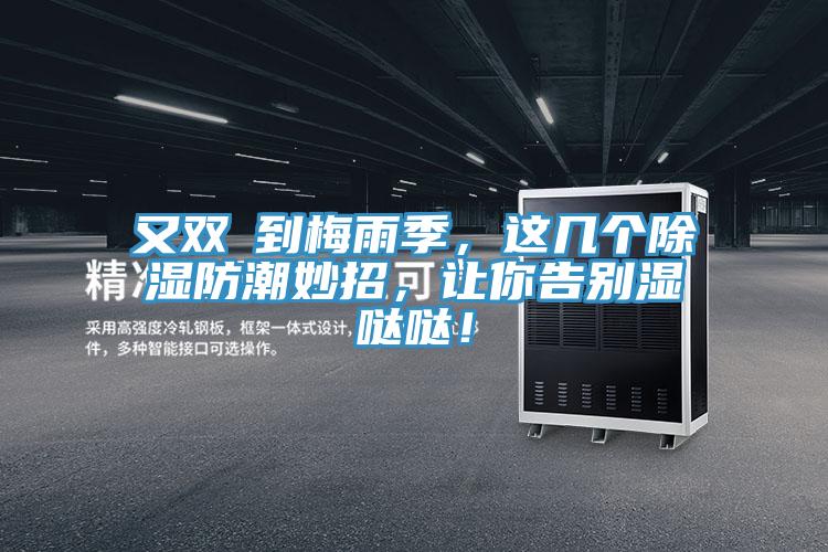 又雙叒到梅雨季，這幾個除濕防潮妙招，讓你告別濕噠噠！