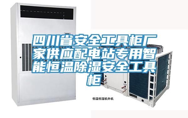 四川省安全工具柜廠(chǎng)家供應(yīng)配電站專(zhuān)用智能恒溫除濕安全工具柜